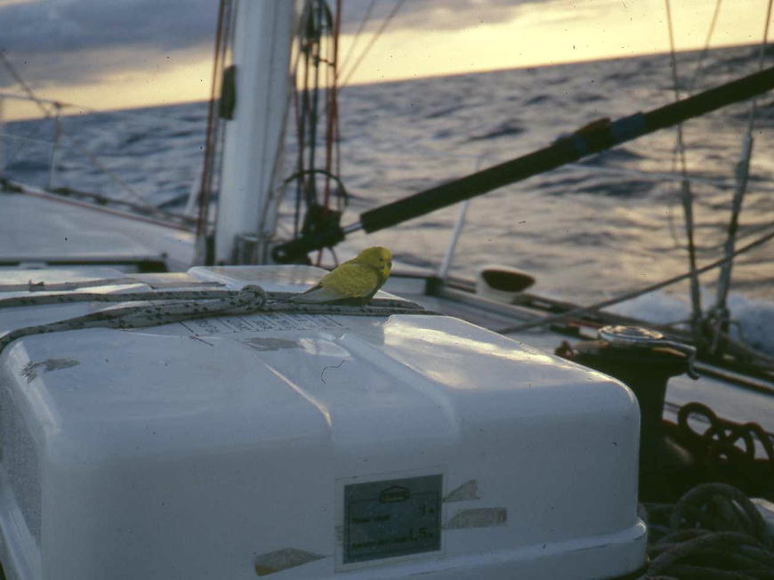 e0114543_12303681.jpg