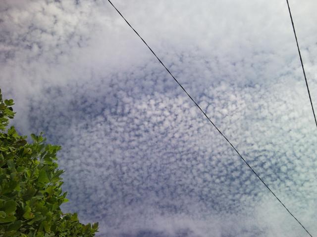 e0150843_20162287.jpg