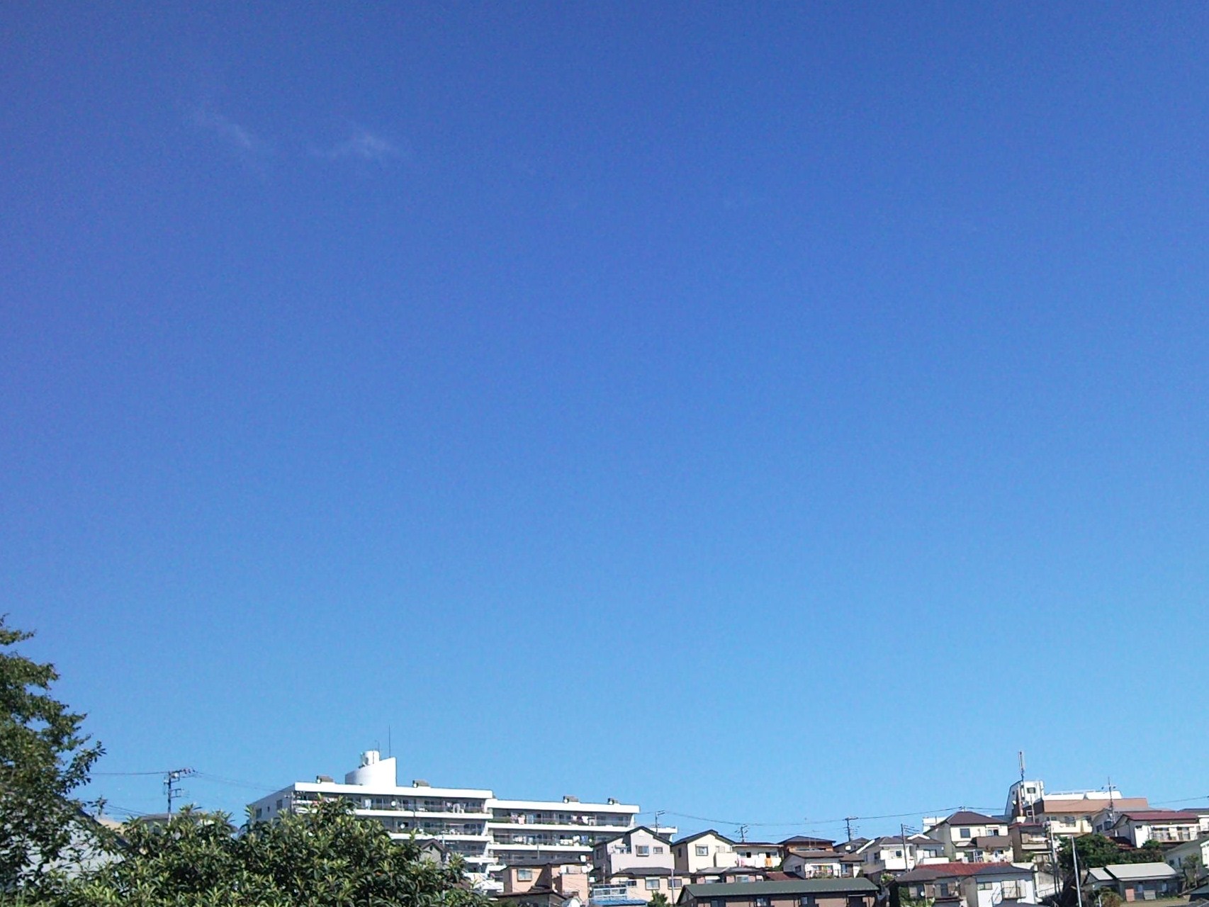 e0150843_20212827.jpg