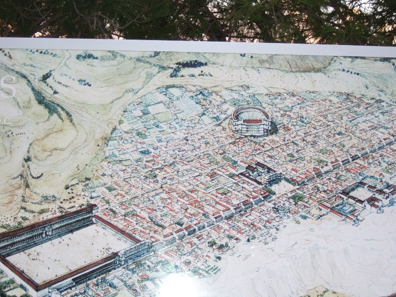 b0156645_1051336.jpg