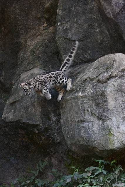 e0123945_06416.jpg