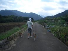 b0098660_21294971.jpg