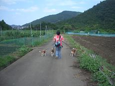 b0098660_2146697.jpg