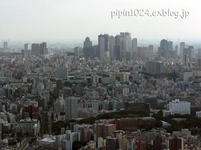 b0059664_02369.jpg