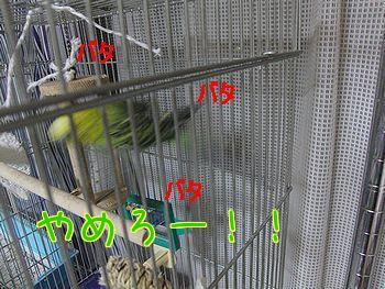 f0196665_010676.jpg