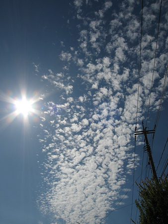 c0104371_113257.jpg