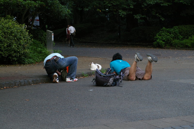 b0120979_1718315.jpg