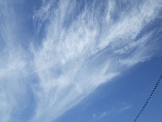 f0005081_7271967.jpg