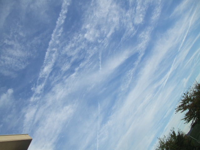 f0005081_731646.jpg