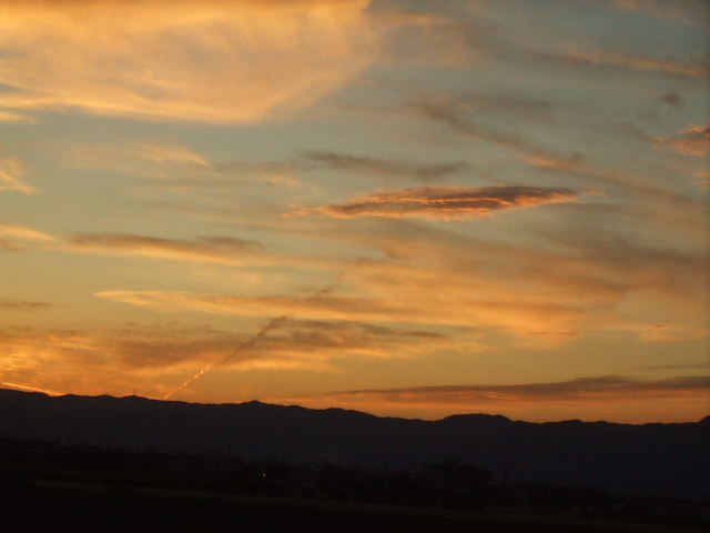 f0005081_7323089.jpg