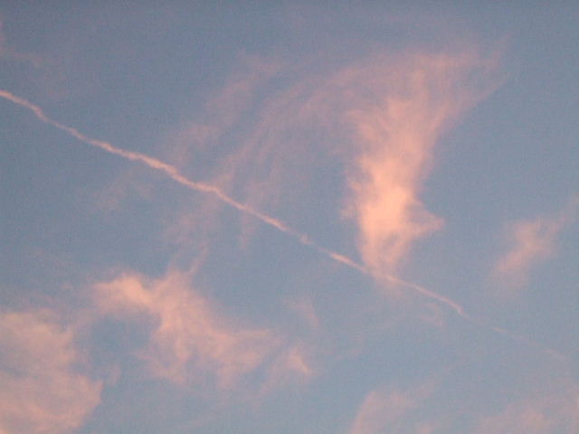 f0005081_7325132.jpg