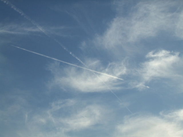 f0005081_7361568.jpg