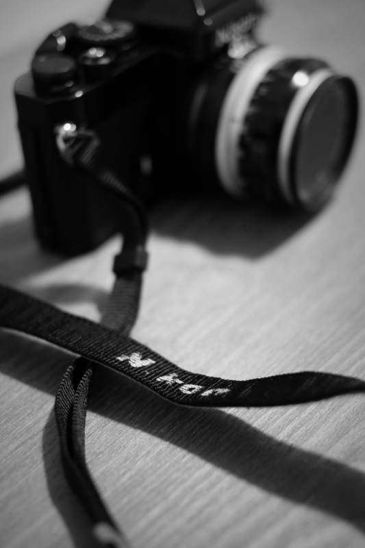 c0130986_10331271.jpg