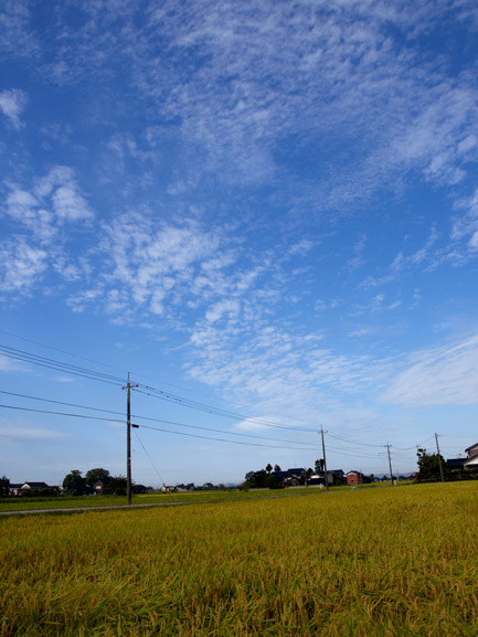 d0088788_21482839.jpg