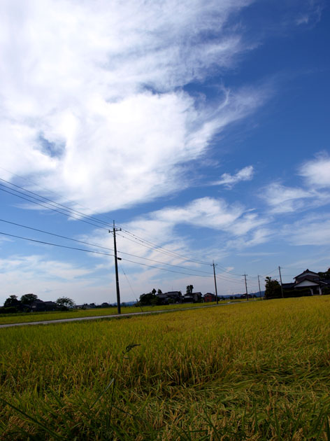 d0088788_21505987.jpg