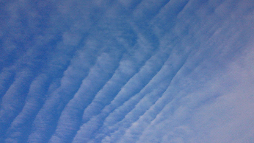 e0175288_14453053.jpg