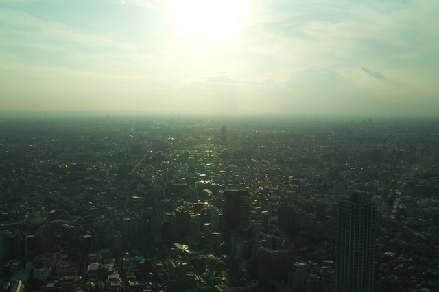b0046290_1115875.jpg