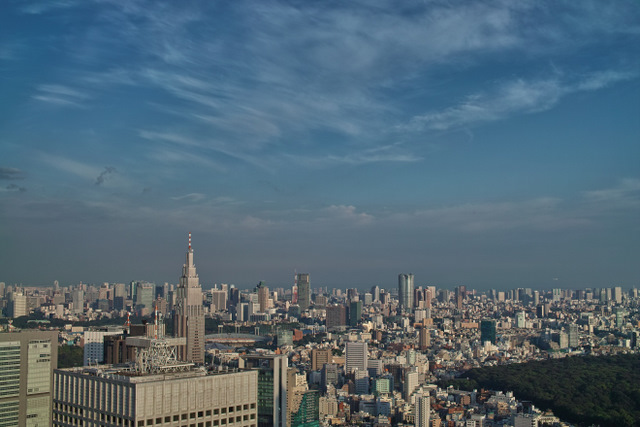 b0046290_1121088.jpg