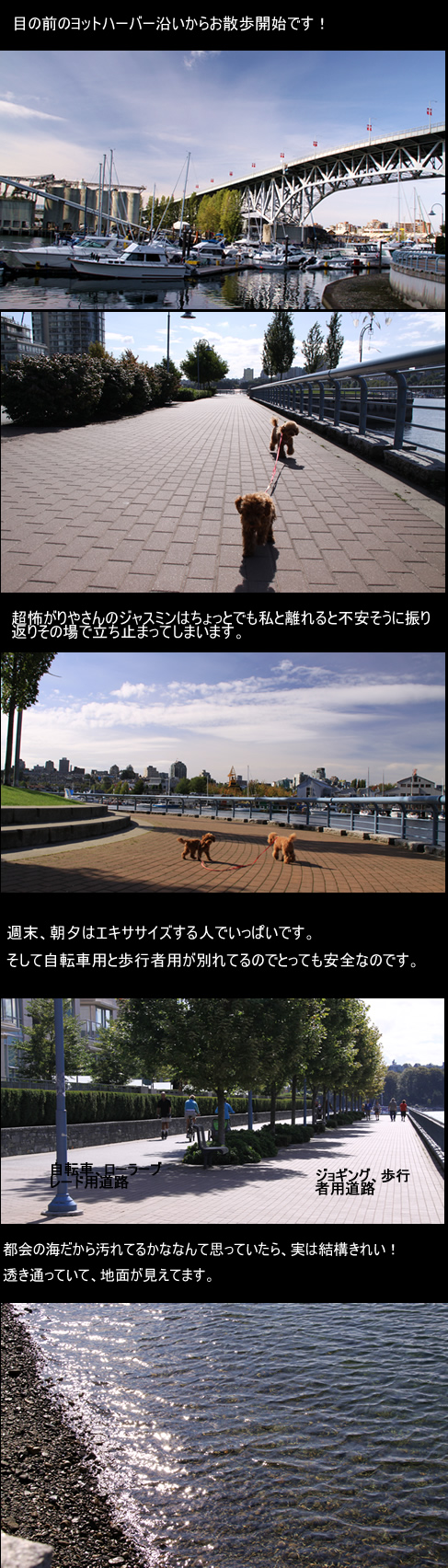 c0164491_672435.jpg
