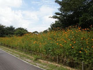 f0130894_21114120.jpg