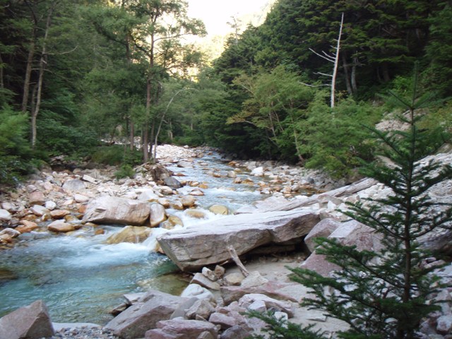 b0039898_1252255.jpg
