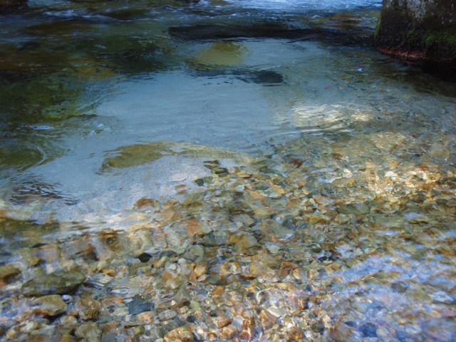 b0039898_1255460.jpg