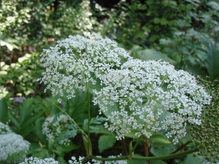 b0039898_1322770.jpg