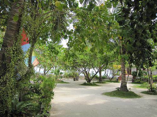 f0153998_21162169.jpg