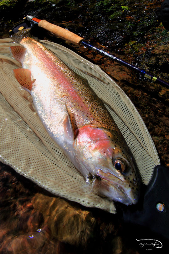 f0085599_21152590.jpg