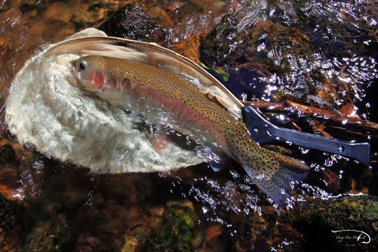 f0085599_21242878.jpg
