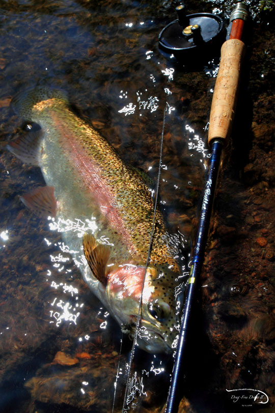f0085599_2291733.jpg