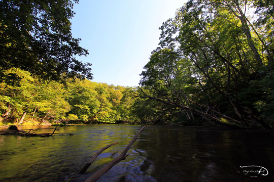 f0085599_2293757.jpg