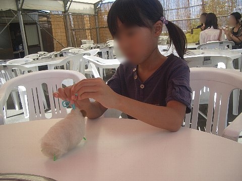 a0051402_21565789.jpg