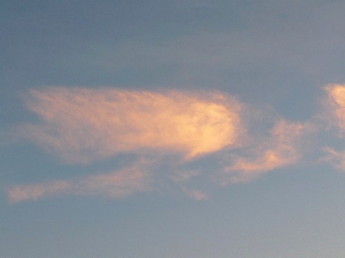 c0058606_23472480.jpg