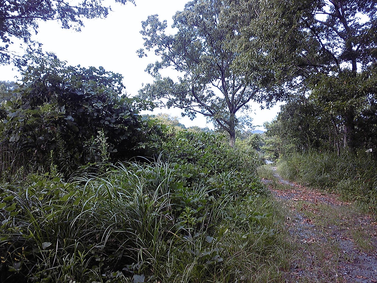 e0015108_18595884.jpg