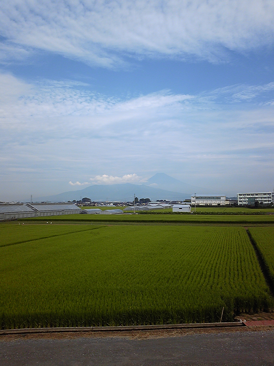 e0015108_1911161.jpg