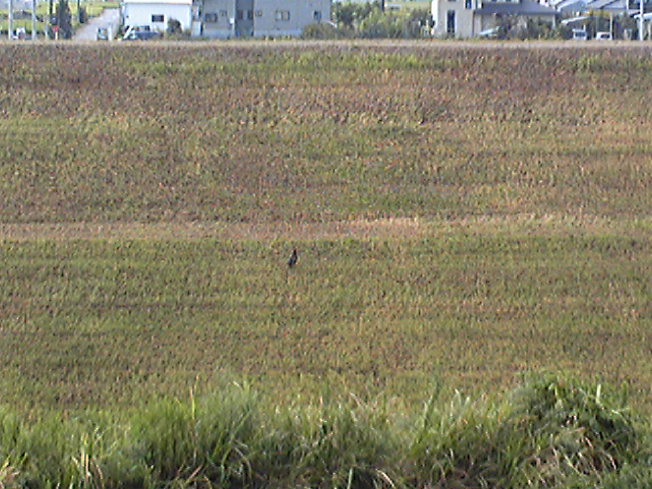 e0015108_19121830.jpg