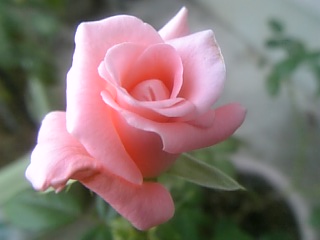 e0098908_21414746.jpg