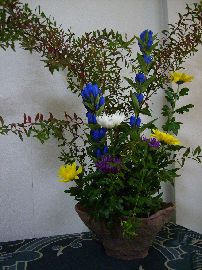 f0208812_1574621.jpg