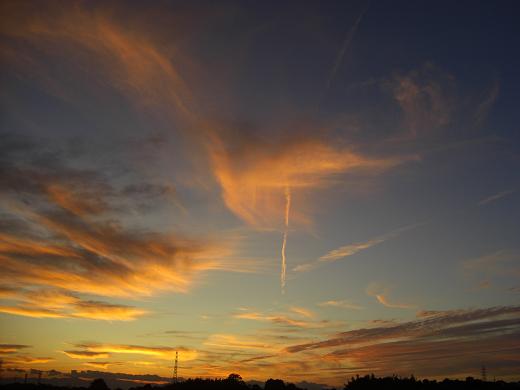 c0005619_052540.jpg