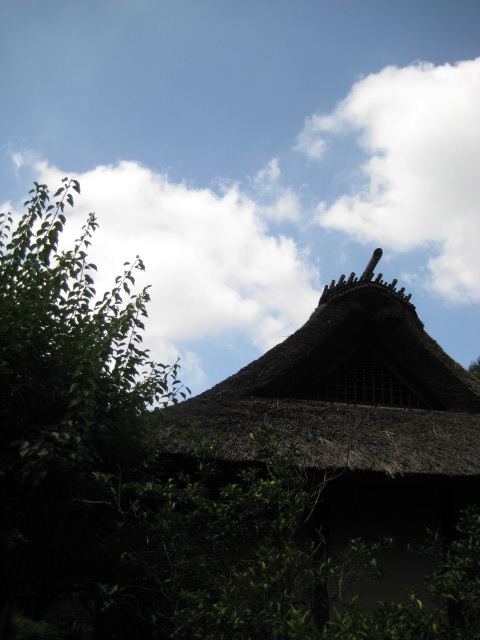 d0147727_18565394.jpg