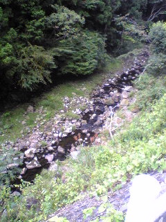 a0099129_18354078.jpg