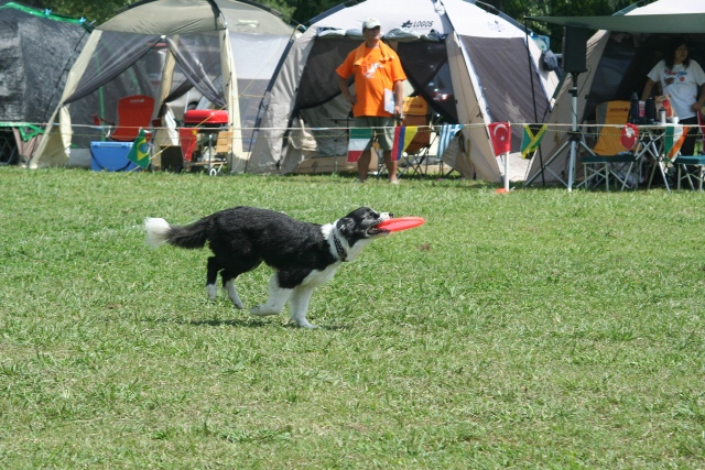 b0085331_9172160.jpg