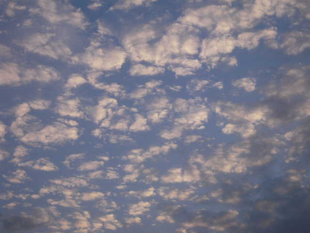 b0025633_19444717.jpg