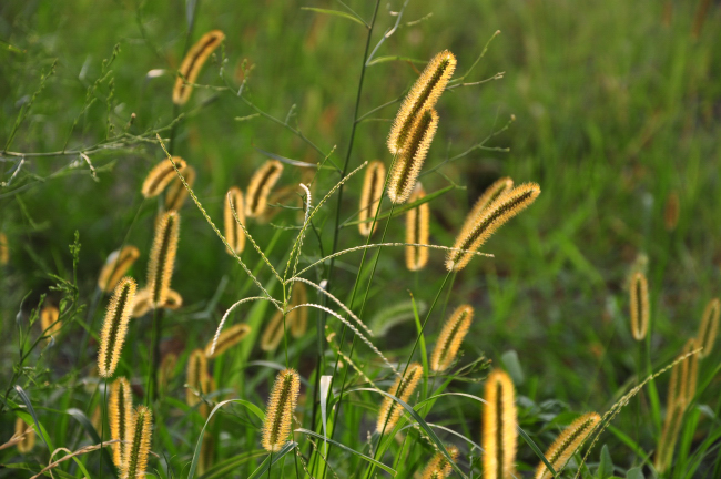 c0133533_1351730.jpg