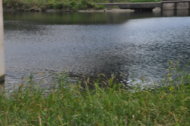 c0133533_140230.jpg