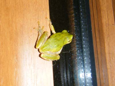 f0008935_15341934.jpg