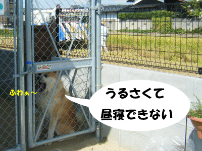 f0008935_15502971.gif