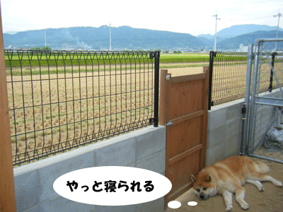 f0008935_15515883.gif