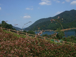 b0165236_9192892.jpg